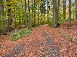 Wandertag