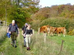 Wandertag